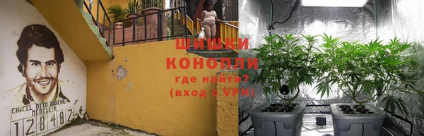 эйфоретик Нязепетровск