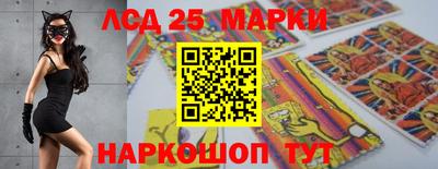 гидропоника Дубна