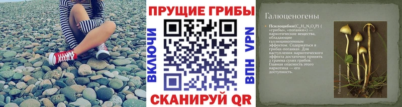 kraken ссылки  мориарти как зайти  Псилоцибиновые грибы прущие грибы  Лабытнанги 