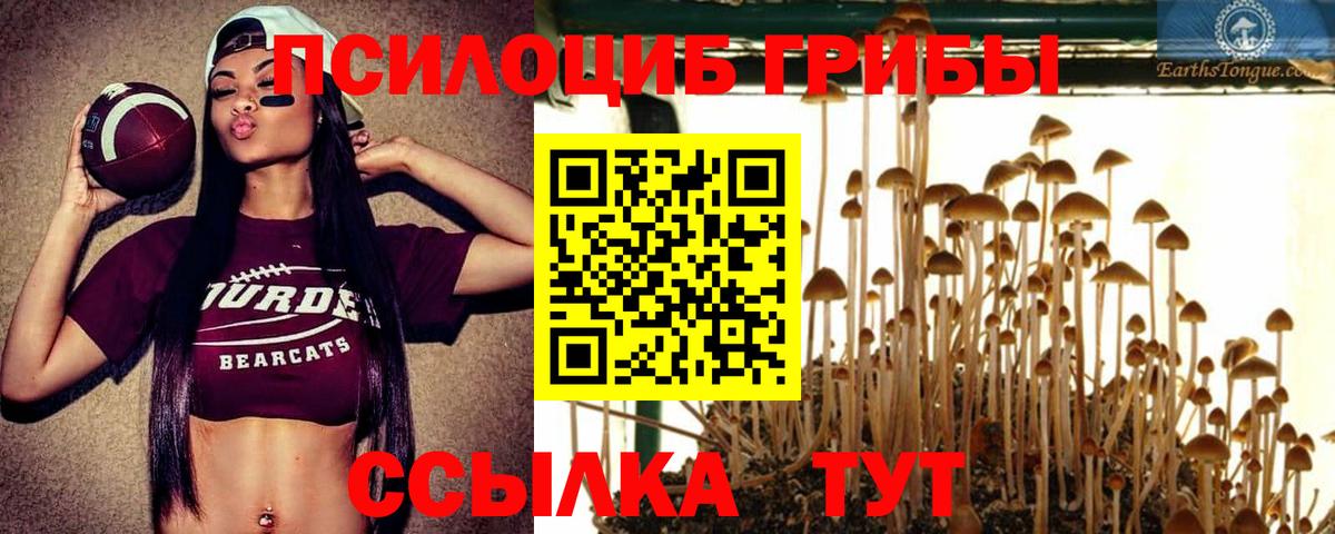 Псилоцибиновые грибы мухоморы Лабытнанги