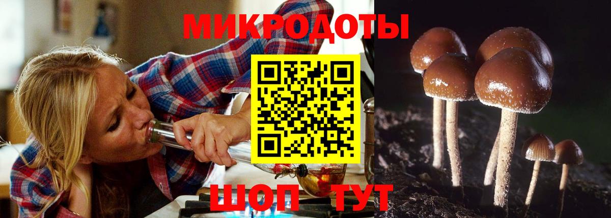 Псилоцибиновые грибы Psilocybe  Лабытнанги 