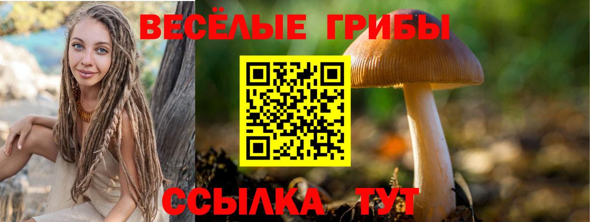 Лабытнанги  Псилоцибиновые грибы Magic Shrooms  Вход с VPN 